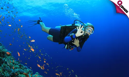Fun Scuba Diving Adventure with Underwater Photography at Sealine!